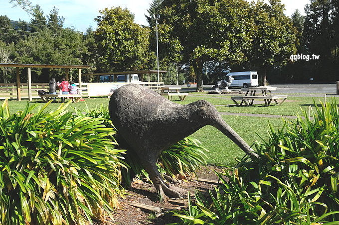 紐西蘭北島︱Agrodome Farm 愛歌頓農場．剪羊毛秀、遊牧場，親近羊咩咩和草泥馬 @QQ的懶骨頭