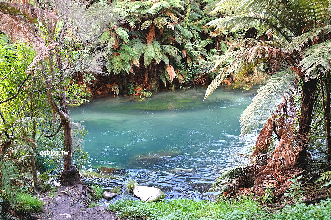 紐西蘭北島︱Blue Spring 藍泉．如詩如畫的夢幻景點，宛如世外桃源般的美景，紐西蘭北島景點推薦 @QQ的懶骨頭