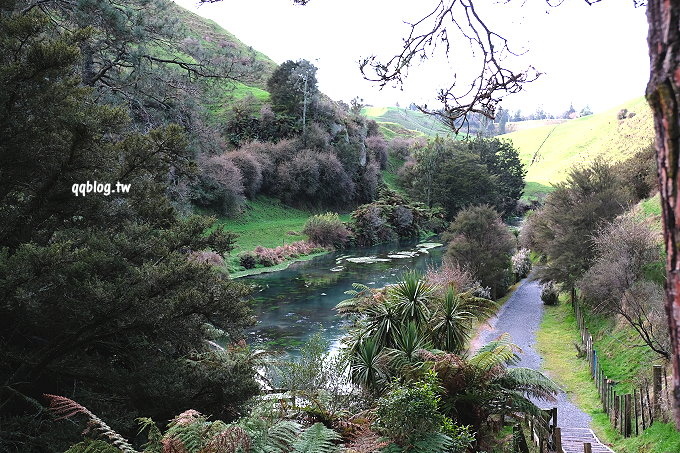 紐西蘭北島︱Blue Spring 藍泉．如詩如畫的夢幻景點，宛如世外桃源般的美景，紐西蘭北島景點推薦 @QQ的懶骨頭
