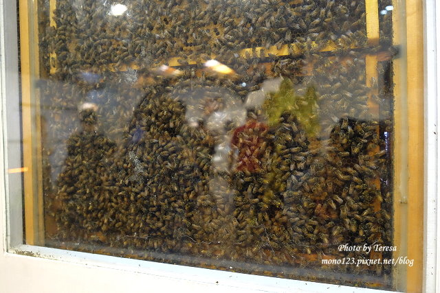 【宜蘭員山】養蜂人家-蜂采館．瞭解關於蜂蜜和蜜蜂的二三事，還有導覽解說服務 @QQ的懶骨頭
