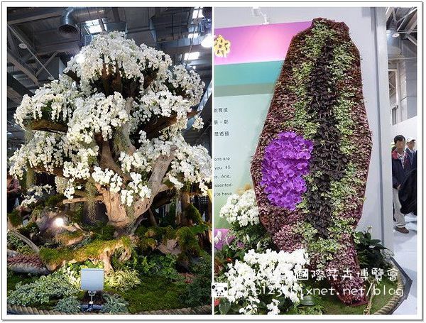 再見~美麗的饗宴☆2010台北國際花卉博覽會☆ @QQ的懶骨頭