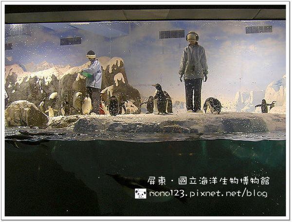 【屏東旅遊】國立海洋生物博物館 @QQ的懶骨頭