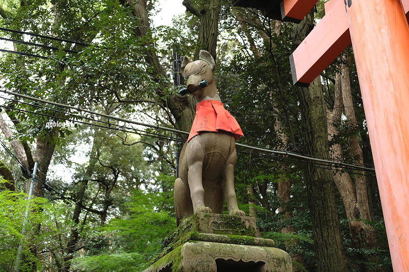 日本京都︱伏見稻荷大社．一探藝技回藝錄拍攝地的千本鳥居，京都必訪景點之一 @QQ的懶骨頭