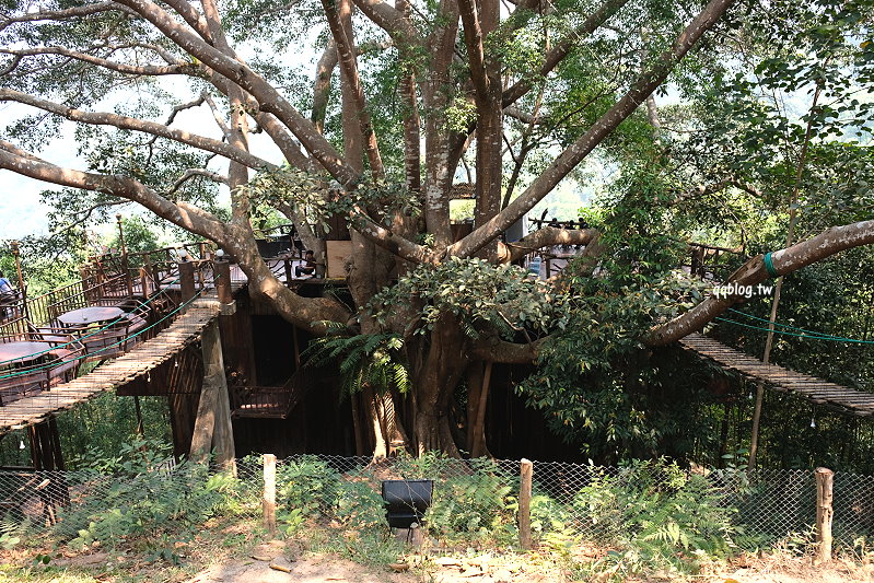 泰國清邁︱巨樹咖啡屋民宿(The Giant Chiangmai )．隱藏在清邁近郊的樹屋咖啡館民宿，懸空坐位挑戰你的勇氣，有懼高症的人不要輕易嚐試 @QQ的懶骨頭