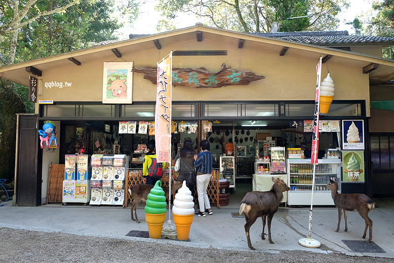 日本奈良︱春日大社、奈良公園、東大寺找鹿趣，可愛的小鹿讓人又愛又氣，不給餅吃就頂人、咬屁屁… @QQ的懶骨頭