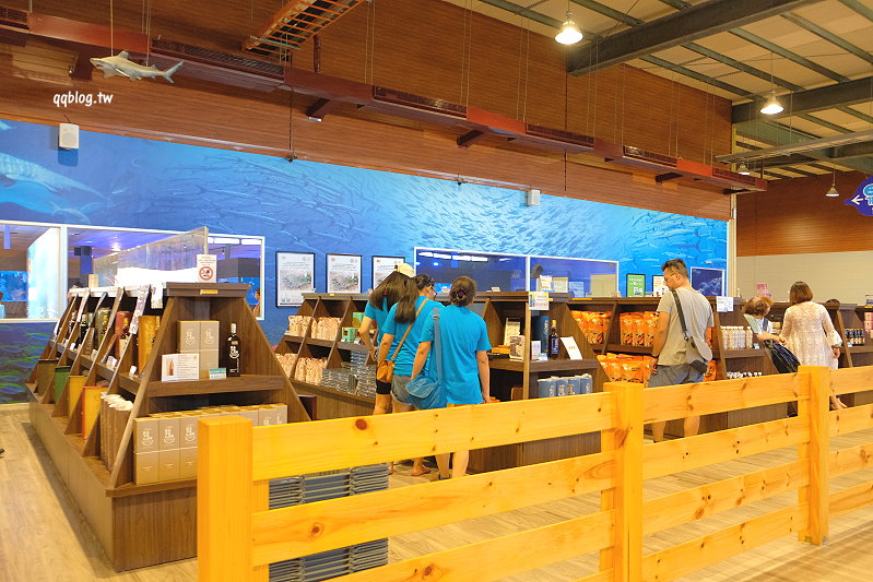 宜蘭礁溪︱金車生技水產養殖研發中心．數十種海洋生物免費參觀，還可以親自體驗鯊魚餵食，是一個適合親子同樂的景點 @QQ的懶骨頭