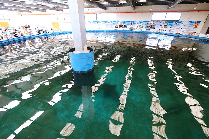 宜蘭礁溪︱金車生技水產養殖研發中心．數十種海洋生物免費參觀，還可以親自體驗鯊魚餵食，是一個適合親子同樂的景點 @QQ的懶骨頭