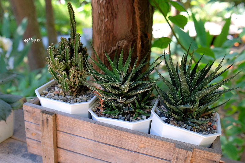 台中北屯︱鹿寮享自在 Deer Farms．玻璃屋景觀餐廳，餐點精緻吃的是食物的原味 @QQ的懶骨頭