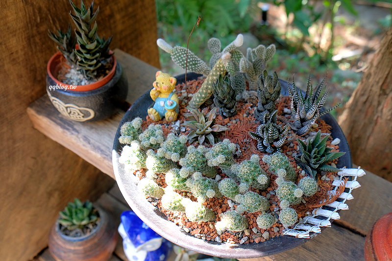 台中北屯︱鹿寮享自在 Deer Farms．玻璃屋景觀餐廳，餐點精緻吃的是食物的原味 @QQ的懶骨頭