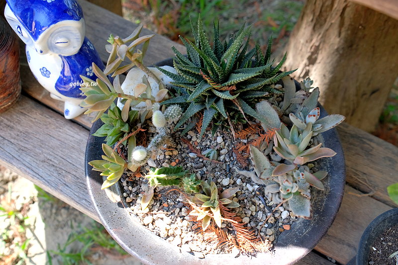 台中北屯︱鹿寮享自在 Deer Farms．玻璃屋景觀餐廳，餐點精緻吃的是食物的原味 @QQ的懶骨頭