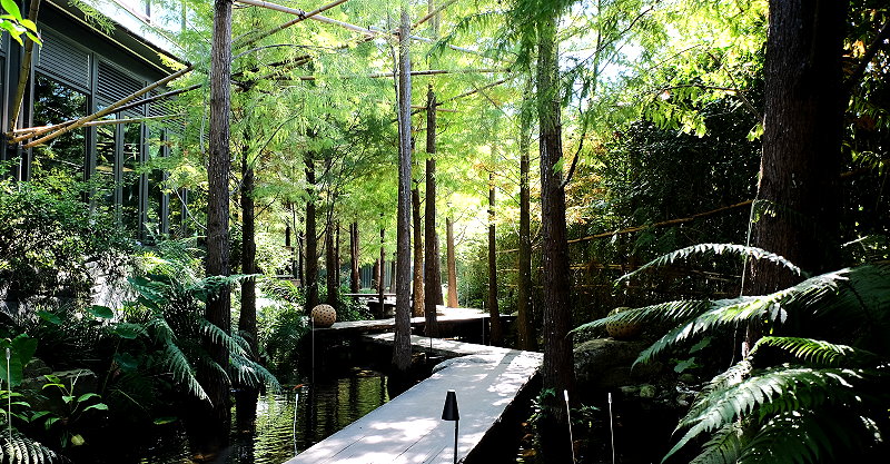 台中北屯︱鹿寮享自在 Deer Farms．玻璃屋景觀餐廳，餐點精緻吃的是食物的原味 @QQ的懶骨頭