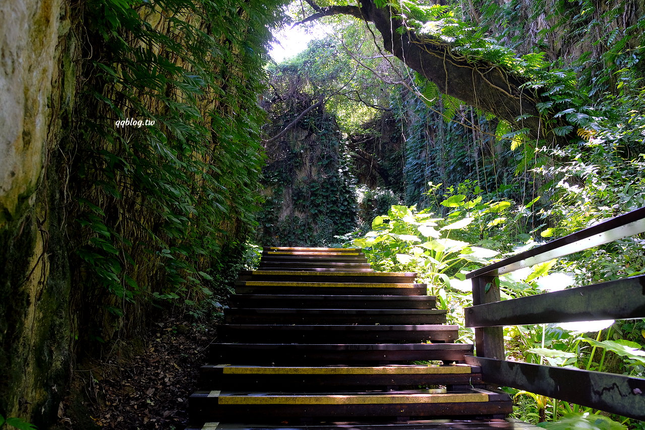 屏東琉球︱山豬溝生態步道．保留原始森林容貌的自然景觀步道，全長400公尺，輕鬆好走 @QQ的懶骨頭
