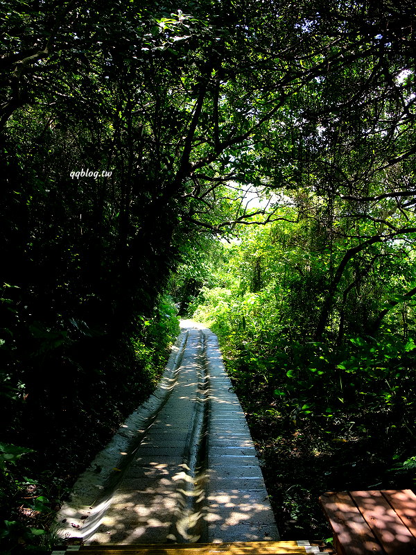 屏東琉球︱山豬溝生態步道．保留原始森林容貌的自然景觀步道，全長400公尺，輕鬆好走 @QQ的懶骨頭