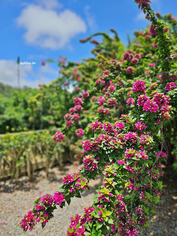 台中北屯︱枯山円敷YEN KARESAN．黑色侘寂風預約制日式庭園餐廳 @QQ的懶骨頭