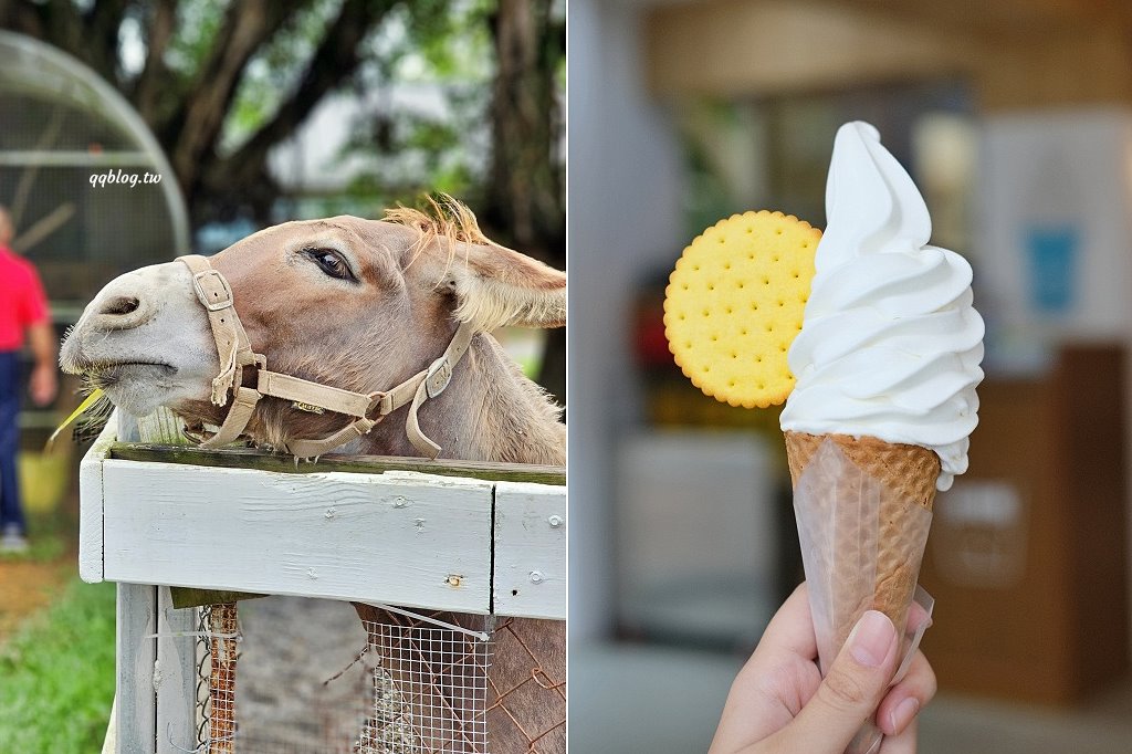 台東卑南︱初鹿牧場．近距離接觸可愛動物來一場餵食趣，香濃霜淇淋更是不可錯過 @QQ的懶骨頭
