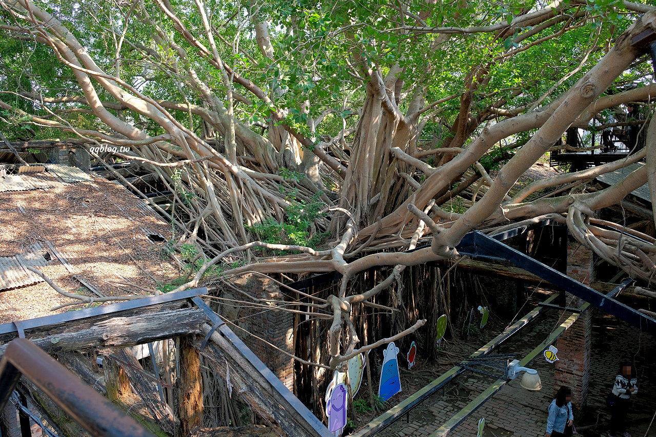 原英商德記洋行．生生不息、新舊共融的安平樹屋，台南旅遊景點推薦