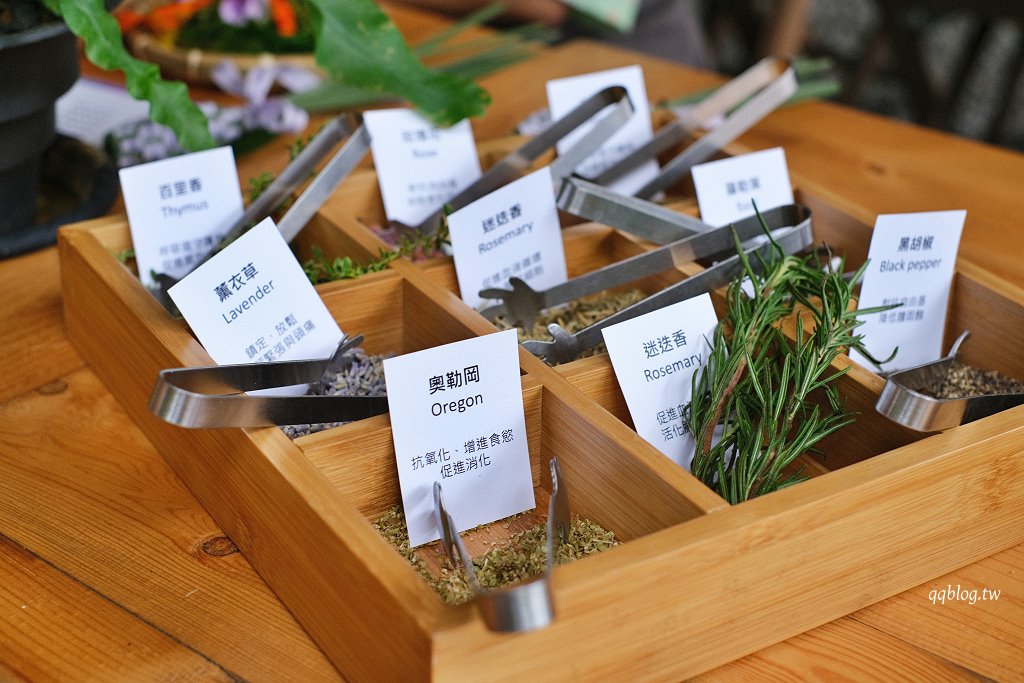 台中新社︱薰衣草森林 新社店．體驗一日香草生活，在森林裡享用午餐盛宴 @QQ的懶骨頭