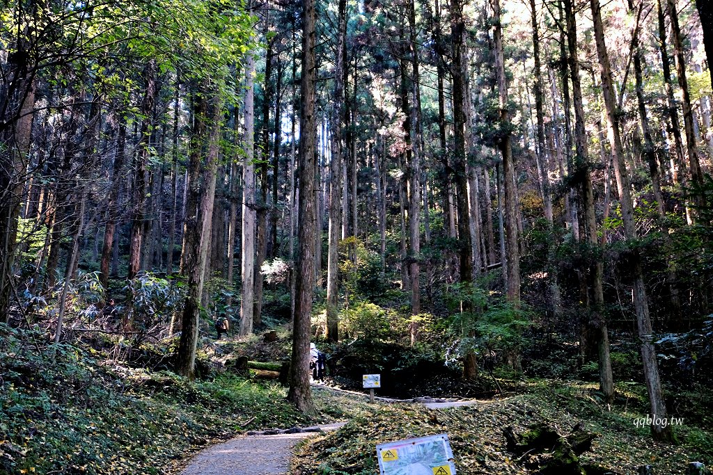 日本熊本︱上色見熊野座神社．氛圍感十足的神社，動漫螢火之森場景 @QQ的懶骨頭