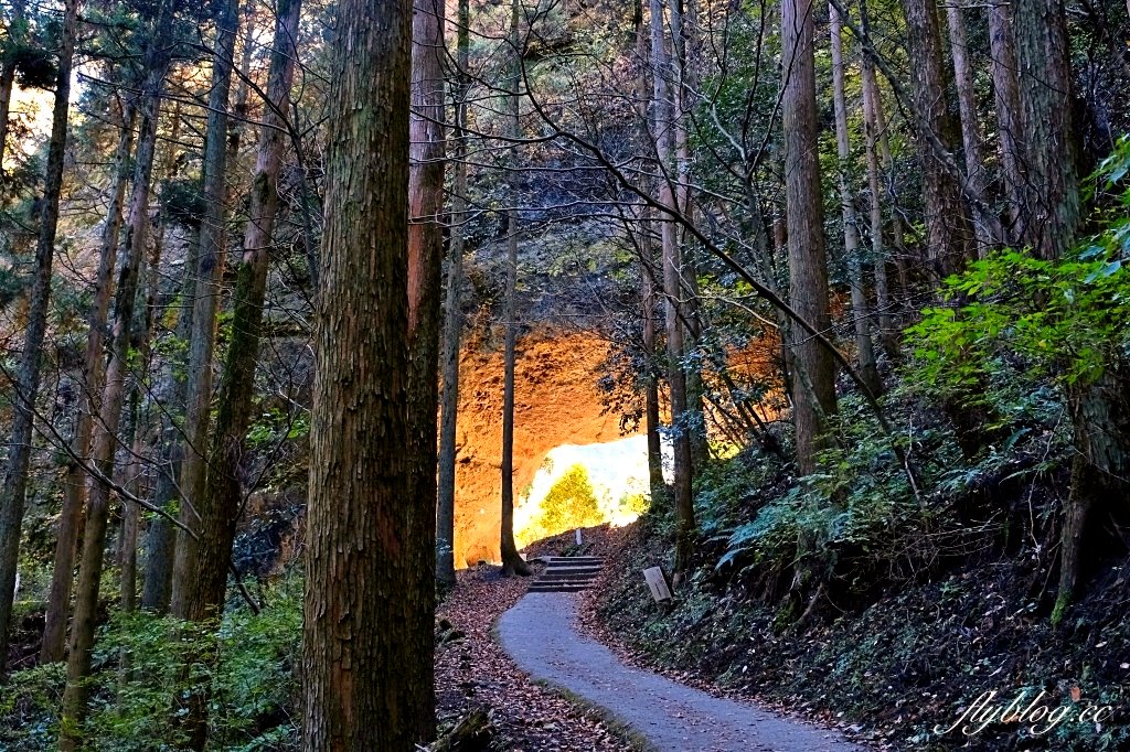 日本熊本︱上色見熊野座神社．氛圍感十足的神社，動漫螢火之森場景 @QQ的懶骨頭