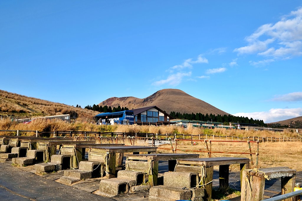 日本熊本︱草千里之濱．一望無際金黃色大草原，近距離接近馬兒，還可以騎馬 @QQ的懶骨頭