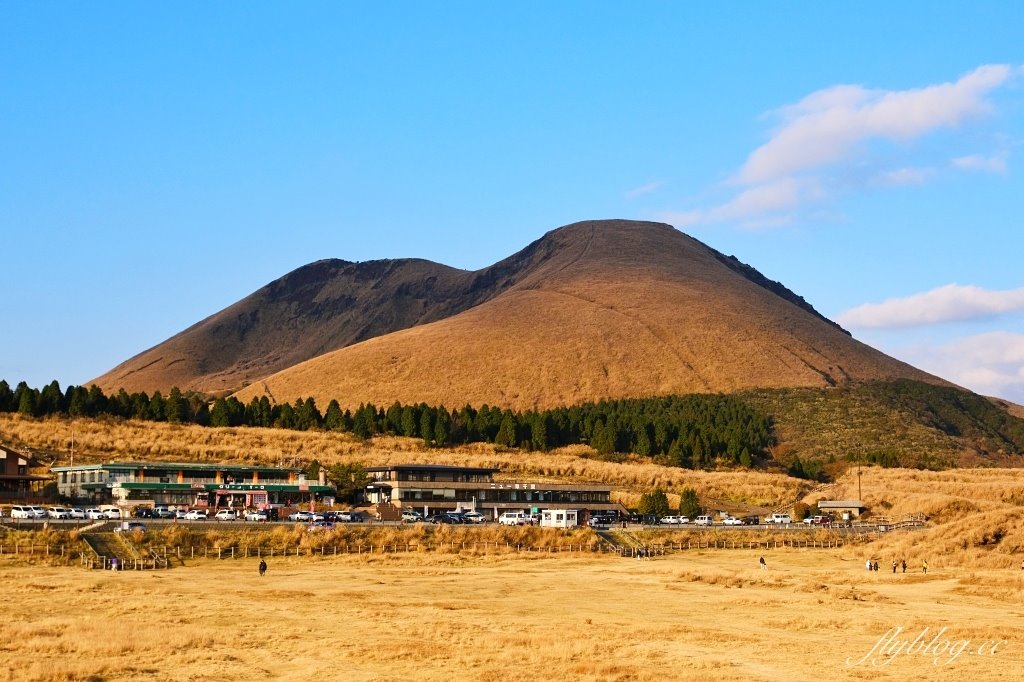 日本熊本︱草千里之濱．一望無際金黃色大草原，近距離接近馬兒，還可以騎馬 @QQ的懶骨頭