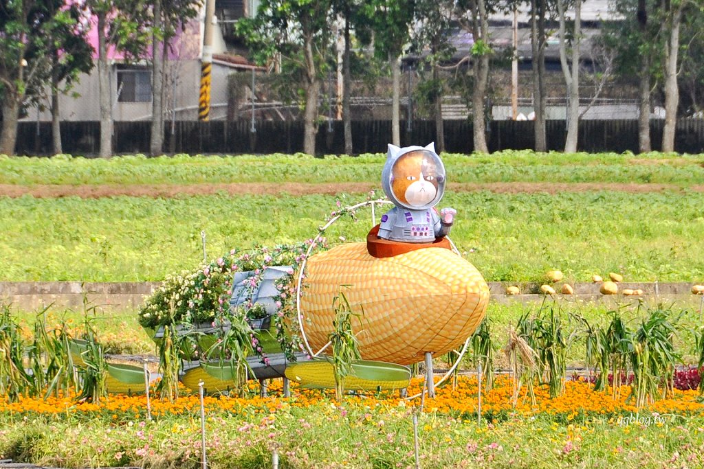 台中新社︱2024新社花海暨台中國際花毯節．悠遊太空花境感受花的饗宴，新社、石岡、東勢美食景點懶人包整理 @QQ的懶骨頭