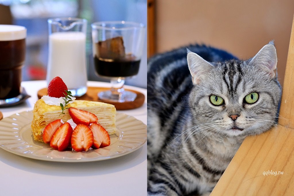 嘉義東區|洛澄-茶品店.可愛貓咪坐陪的咖啡館 @QQ的懶骨頭 嘉義東區|洛澄-茶品店.可愛貓咪坐陪的咖啡館 @QQ的懶骨頭