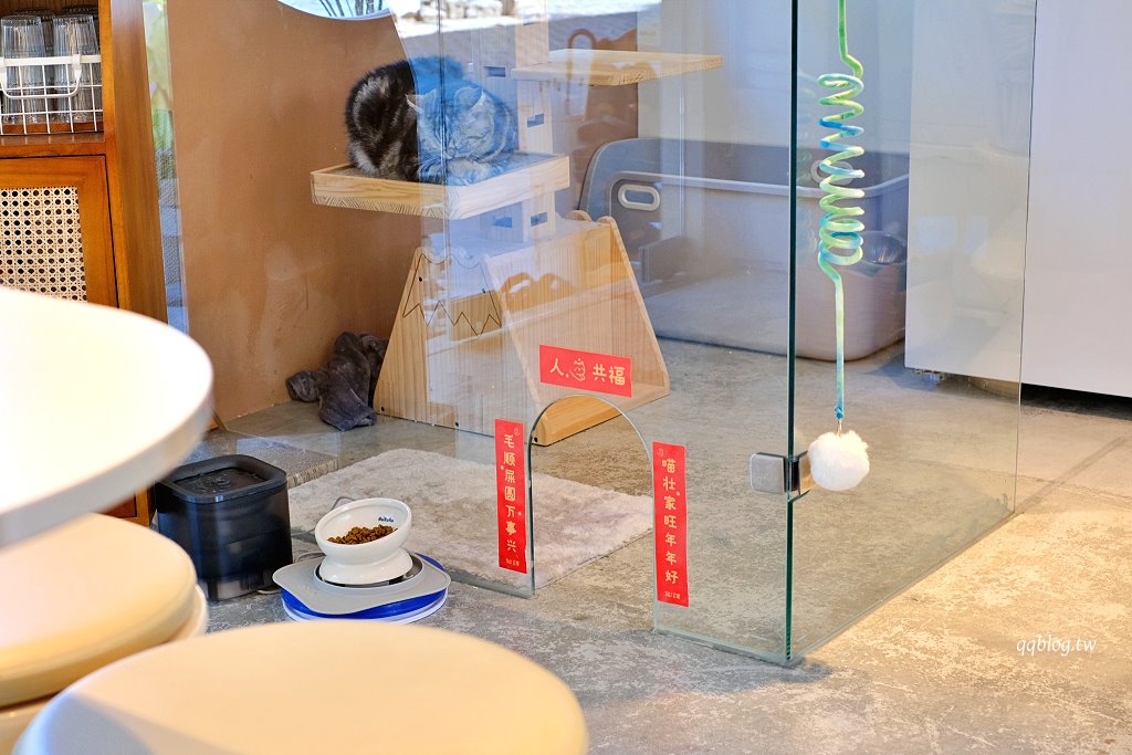 嘉義東區|洛澄-茶品店.可愛貓咪坐陪的咖啡館 @QQ的懶骨頭 嘉義東區|洛澄-茶品店.可愛貓咪坐陪的咖啡館 @QQ的懶骨頭