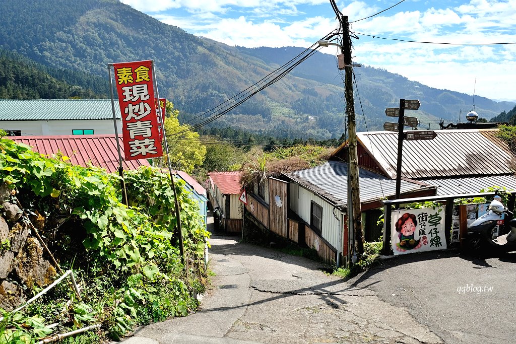 嘉義竹崎︱奮起湖街仔尾阿嬤草仔粿．奮起湖裡的人氣美食小吃，想吃除了碰運氣還要有耐心 @QQ的懶骨頭