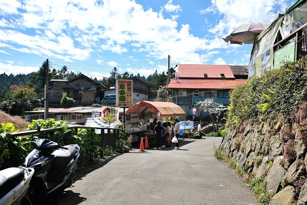 嘉義竹崎︱奮起湖街仔尾阿嬤草仔粿．奮起湖裡的人氣美食小吃，想吃除了碰運氣還要有耐心 @QQ的懶骨頭