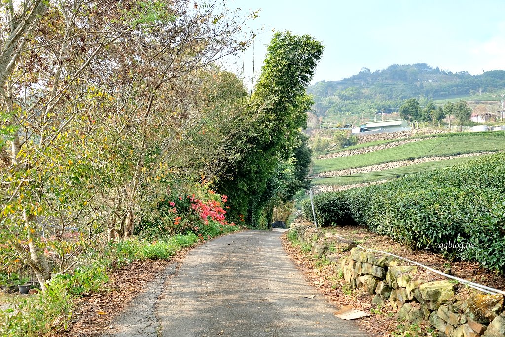 嘉義阿里山︱阿將的家23咖啡館．老闆夫妻一磚一瓦親手打造的石頭屋咖啡館 @QQ的懶骨頭