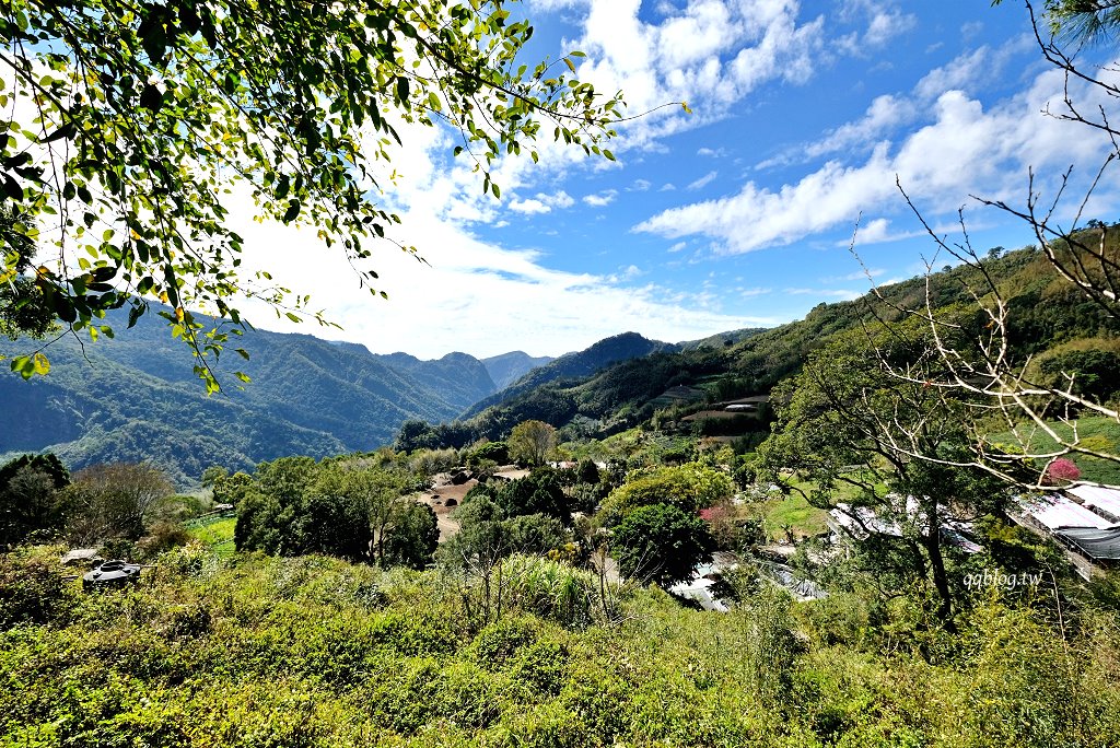 嘉義阿里山︱阿將的家23咖啡館．老闆夫妻一磚一瓦親手打造的石頭屋咖啡館 @QQ的懶骨頭