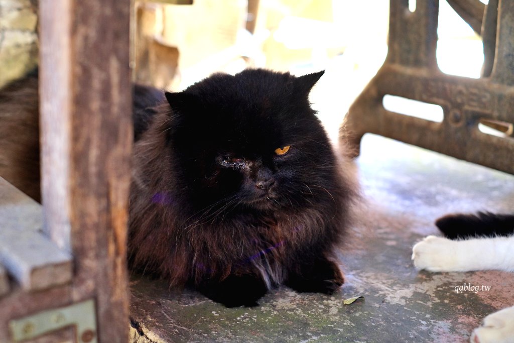 嘉義阿里山︱阿將的家23咖啡館．老闆夫妻一磚一瓦親手打造的石頭屋咖啡館 @QQ的懶骨頭