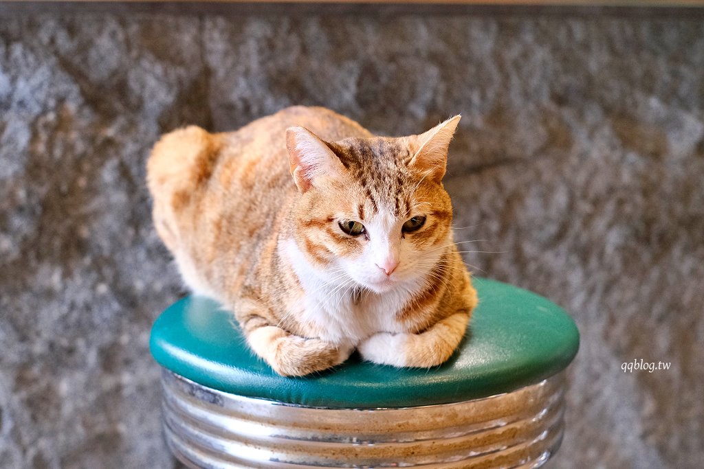 嘉義東區︱往前咖啡製作所 Forward Roasters．老建築新生命，荒廢鐵工廠改造的工業風咖啡館 @QQ的懶骨頭