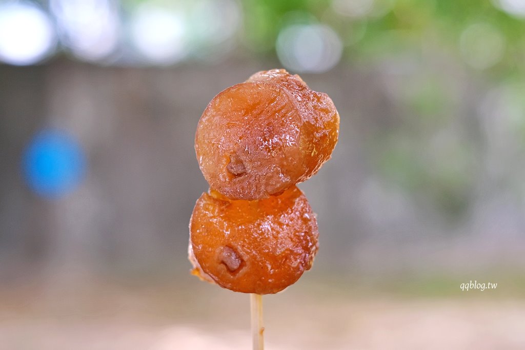 台中大甲︱大甲康家阿嬤ㄟ粉腸．營業超過60年排隊美食，大甲鎮瀾宮美食推薦 @QQ的懶骨頭