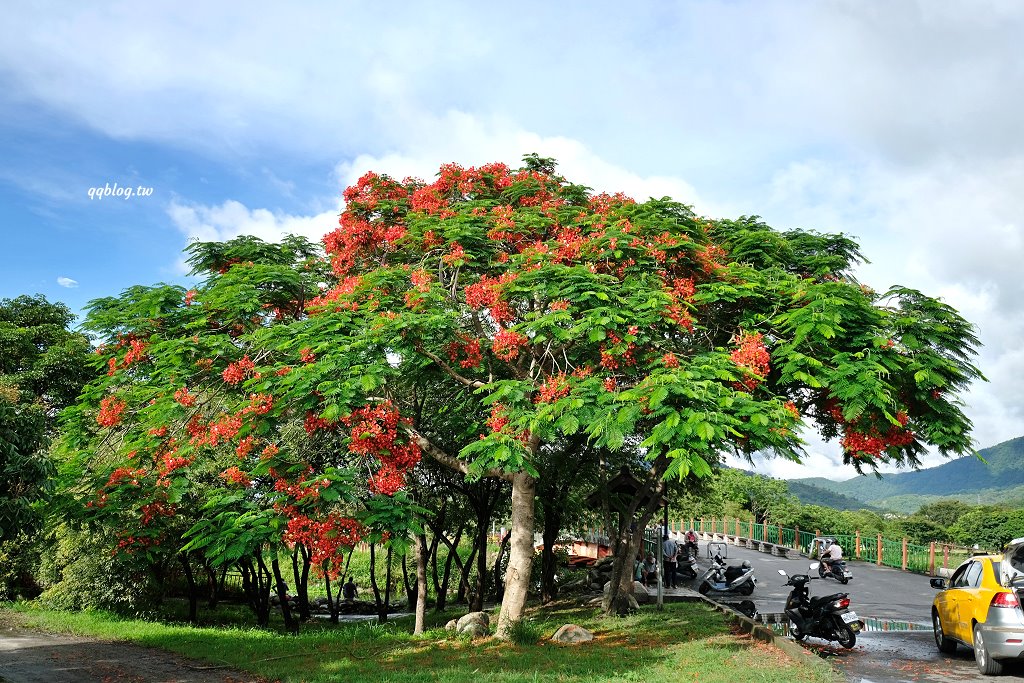 台東池上︱大波池．騎著腳踏車或是散散步，欣賞美麗的湖畔景色，悠閒的慢慢遊 @QQ的懶骨頭