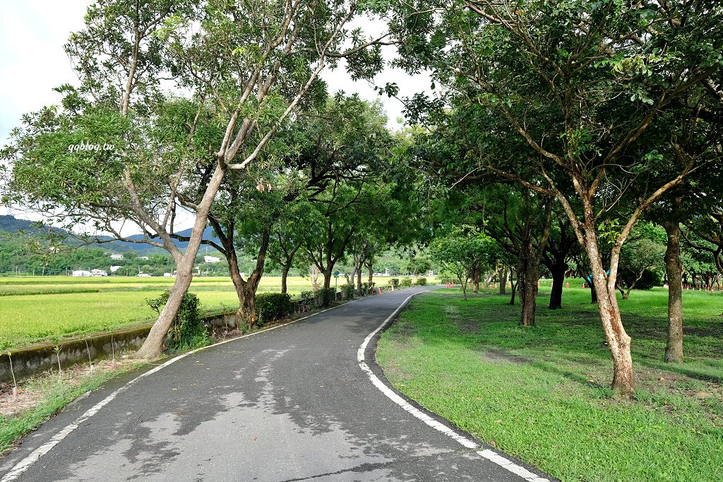 台東池上︱大波池．騎著腳踏車或是散散步，欣賞美麗的湖畔景色，悠閒的慢慢遊 @QQ的懶骨頭