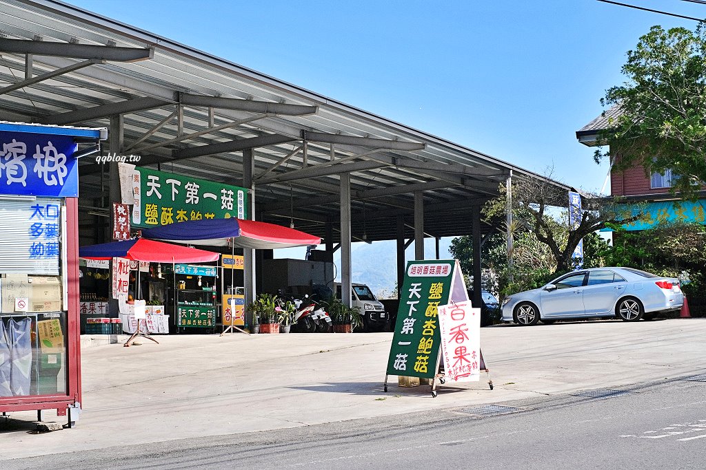 台中新社︱天下第一菇．一次品嚐四種酥炸鮮菇，酥脆鹹香又涮嘴 @QQ的懶骨頭