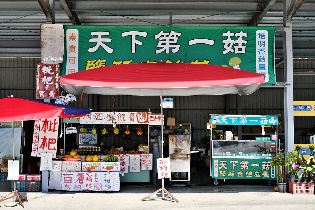 台中新社︱天下第一菇．一次品嚐四種酥炸鮮菇，酥脆鹹香又涮嘴 @QQ的懶骨頭