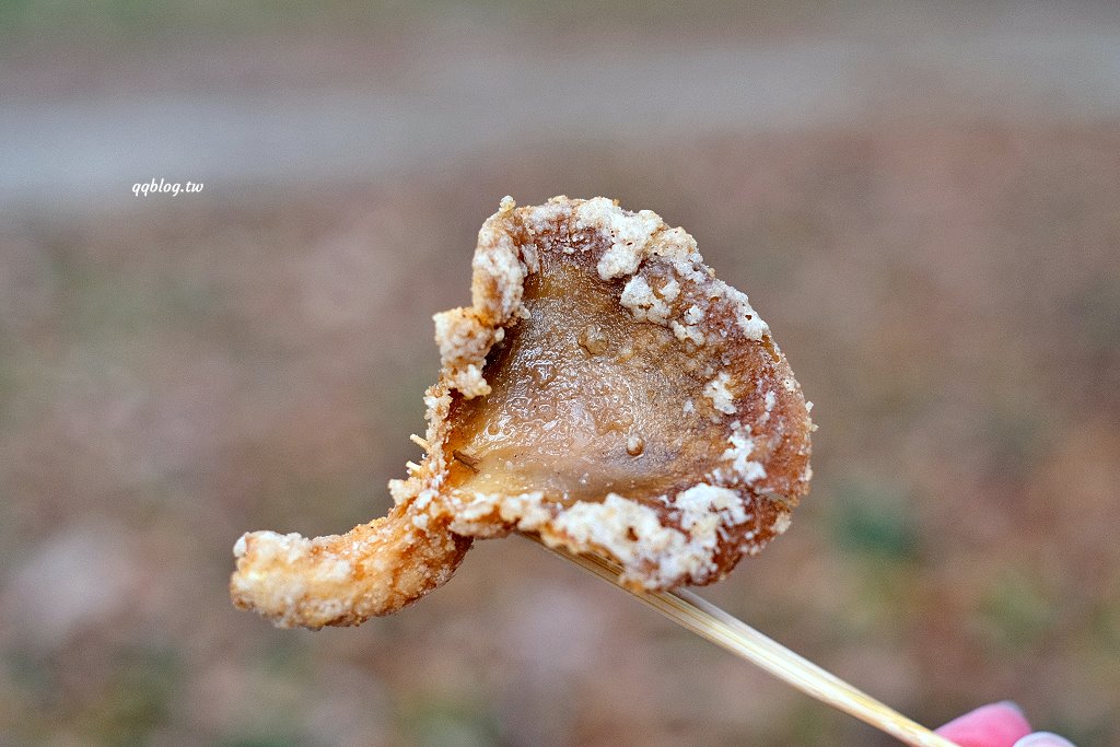 台中新社︱天下第一菇．一次品嚐四種酥炸鮮菇，酥脆鹹香又涮嘴 @QQ的懶骨頭