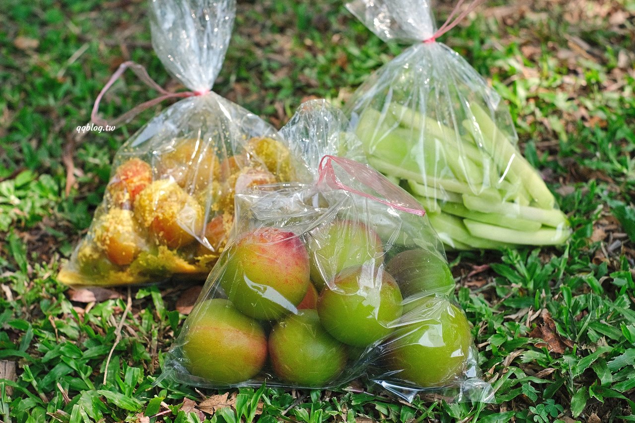 台中沙鹿︱泰式情人果．桃子、情人果、李子季節限定美味上場，清脆爽口，多放幾天更好吃 @QQ的懶骨頭