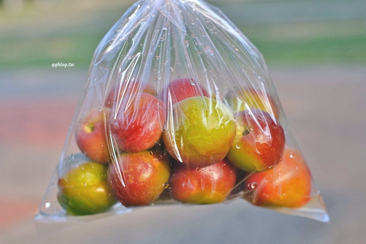 台中沙鹿︱泰式情人果．桃子、情人果、李子季節限定美味上場，清脆爽口，多放幾天更好吃 @QQ的懶骨頭