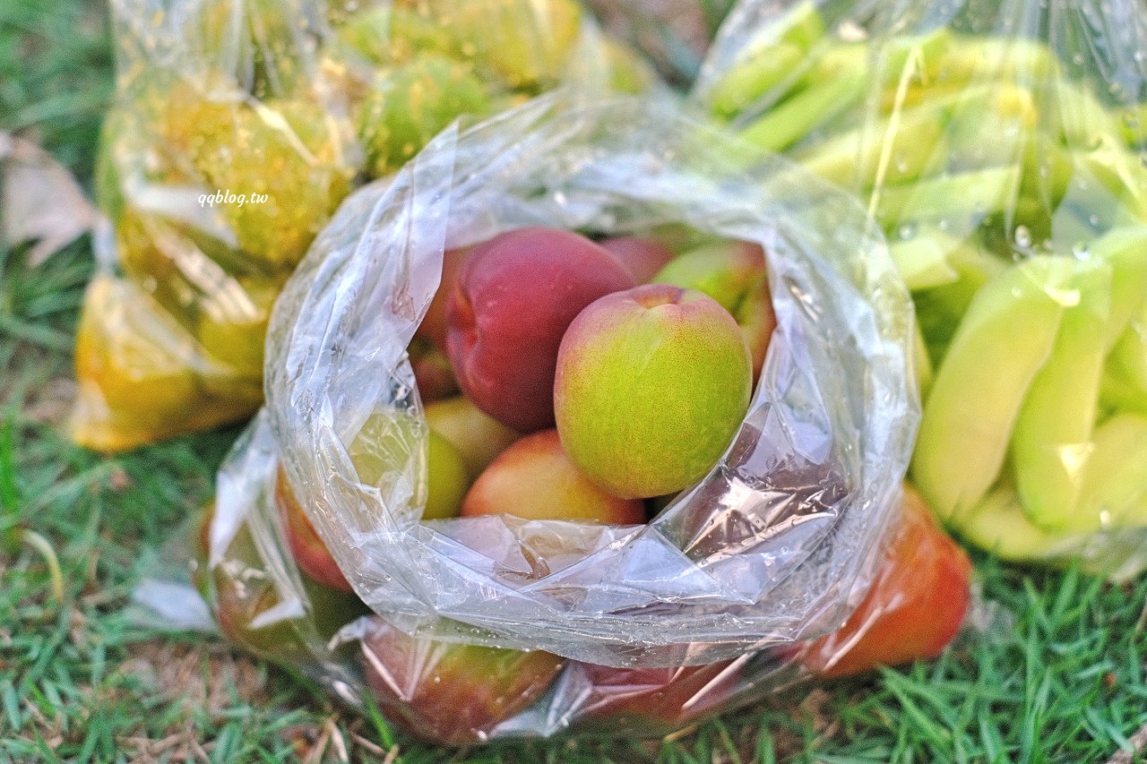 台中沙鹿︱泰式情人果．桃子、情人果、李子季節限定美味上場，清脆爽口，多放幾天更好吃 @QQ的懶骨頭