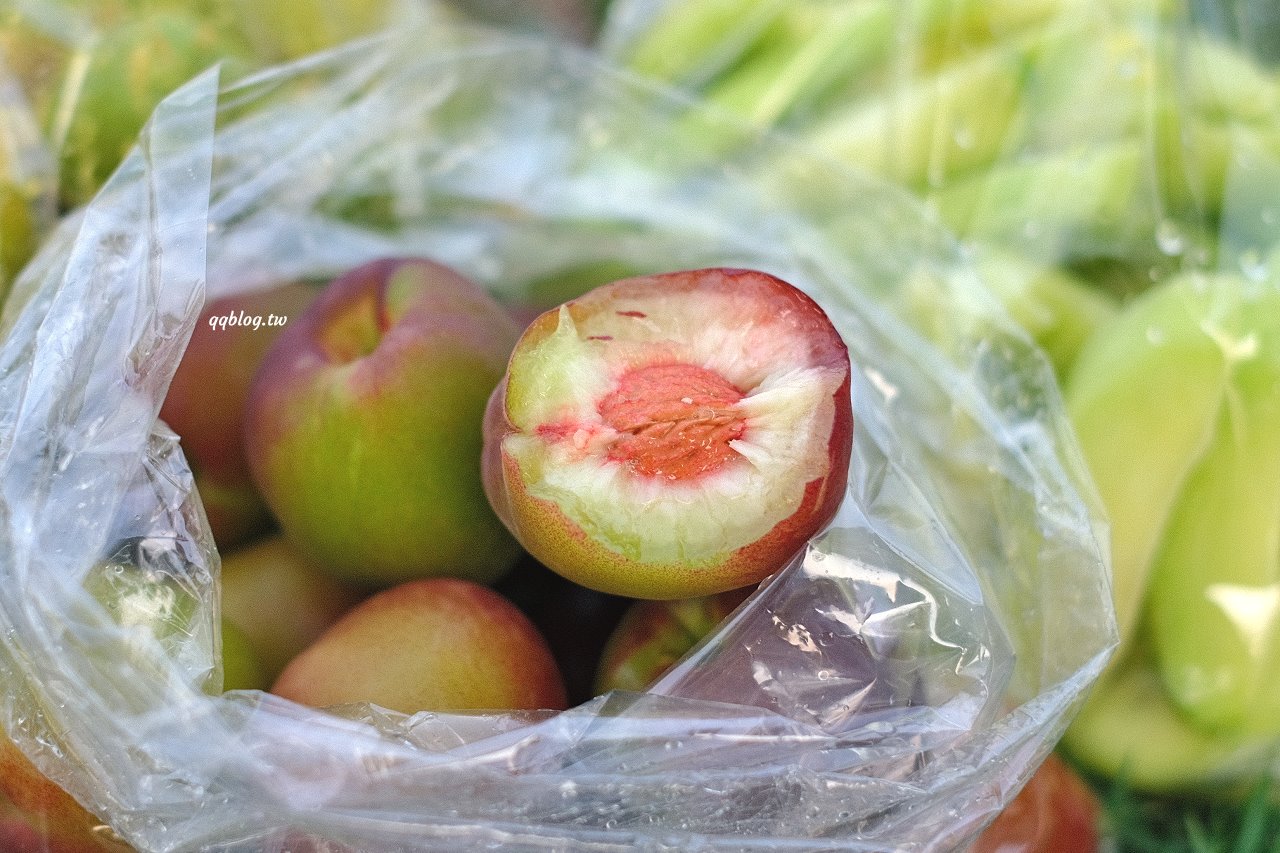台中沙鹿︱泰式情人果．桃子、情人果、李子季節限定美味上場，清脆爽口，多放幾天更好吃 @QQ的懶骨頭