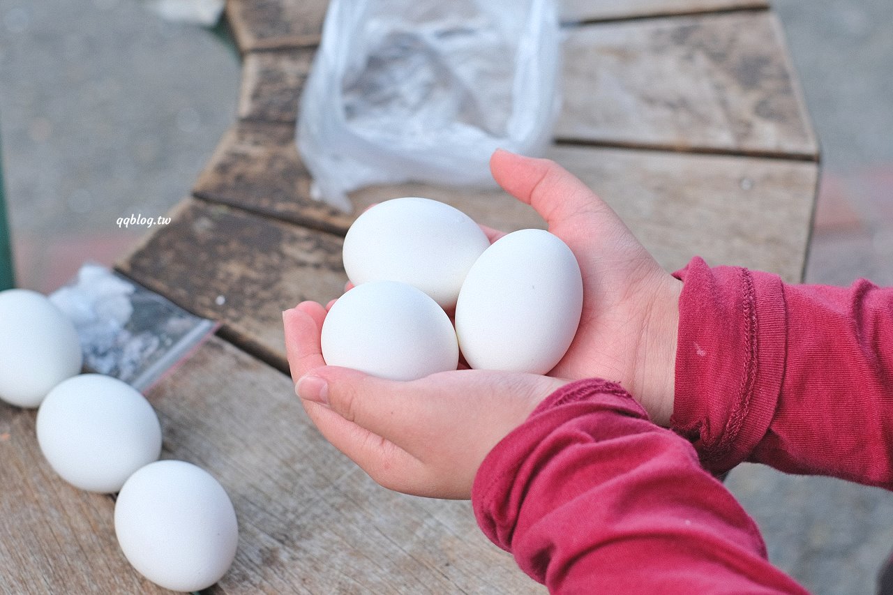 宜蘭大同︱鳩之澤溫泉．群山環繞絕美的岩石蛋溫泉，藍色泉水超夢幻 @QQ的懶骨頭