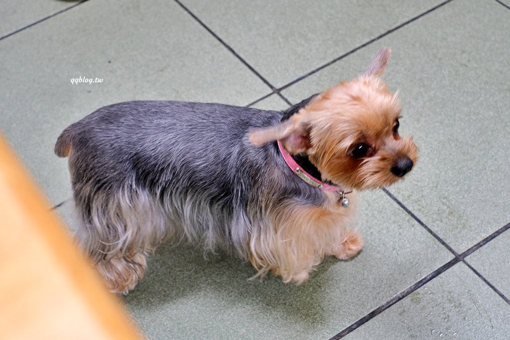 台東︱台東瘦仔羊肉．營業超過60年的羊肉專賣店，在地人推薦的早午餐 @QQ的懶骨頭