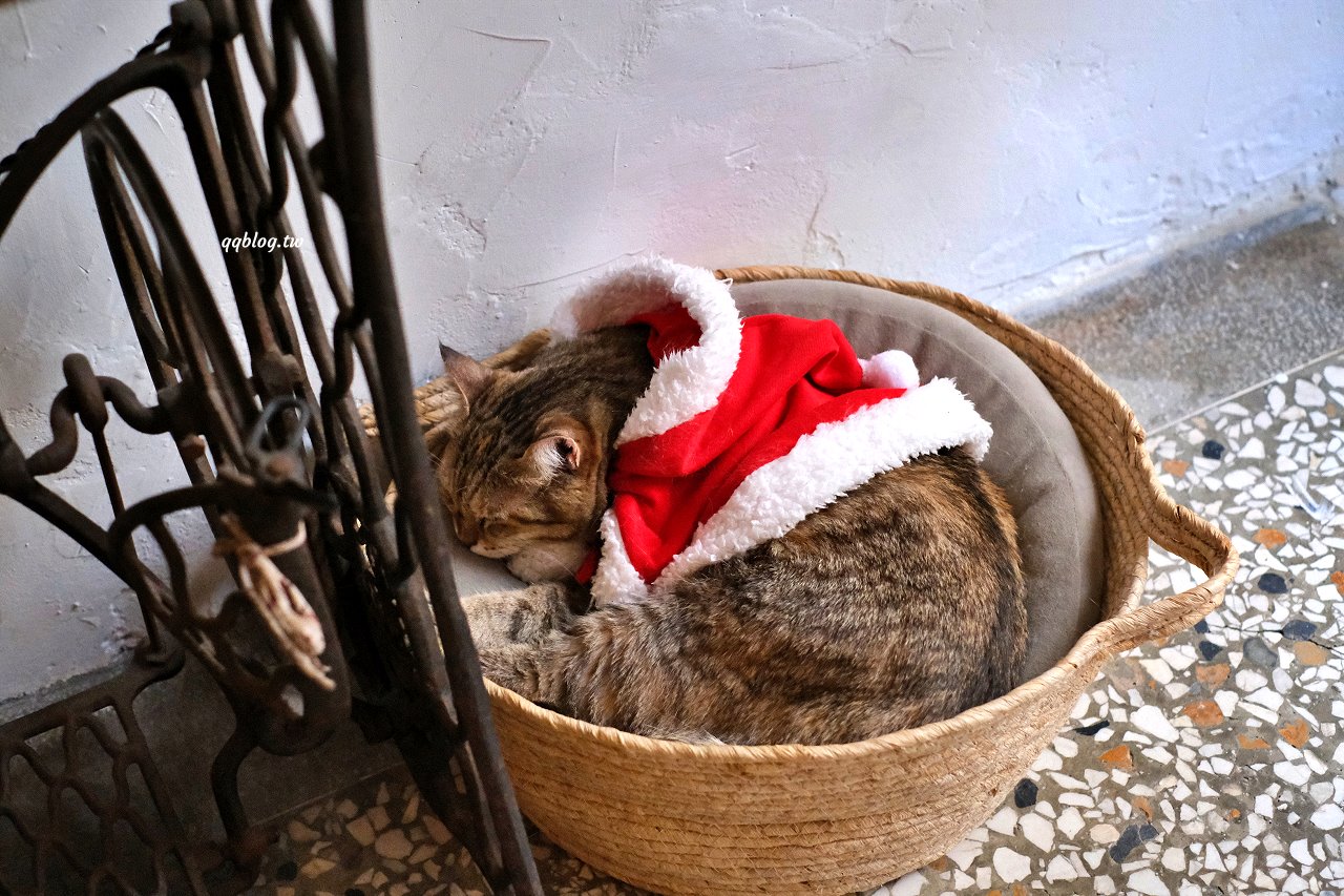 台中西屯︱來森もり．精誠商圈巷K弄裡的老宅甜點店，甜點有水準，還有萌萌的店貓麥芽坐陪 @QQ的懶骨頭