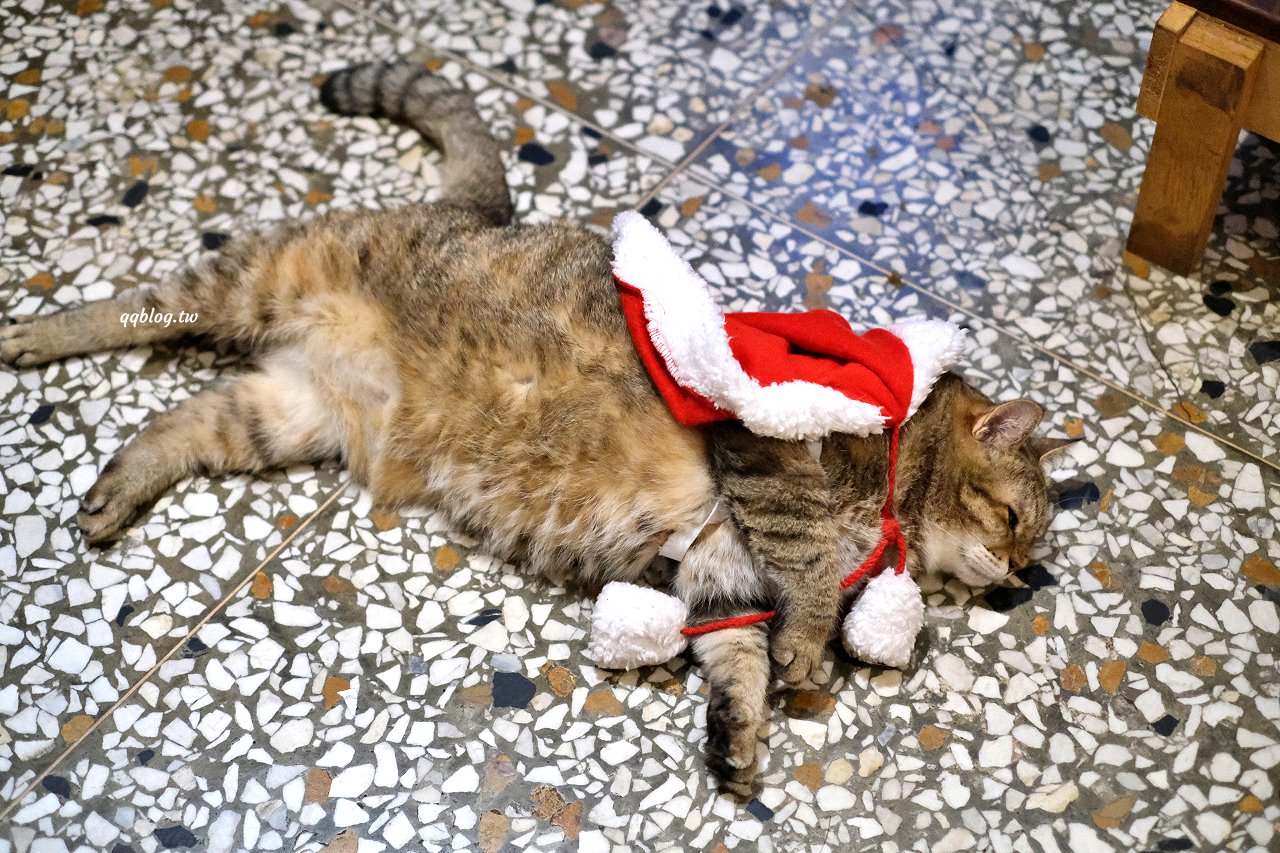 台中西屯︱來森もり．精誠商圈巷K弄裡的老宅甜點店，甜點有水準，還有萌萌的店貓麥芽坐陪 @QQ的懶骨頭