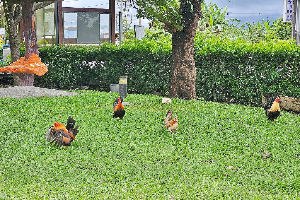 台東關山︱米國學校-關山鎮農會休閒旅遊中心．雨天備案免費參觀的室內景點，採買樂~ @QQ的懶骨頭