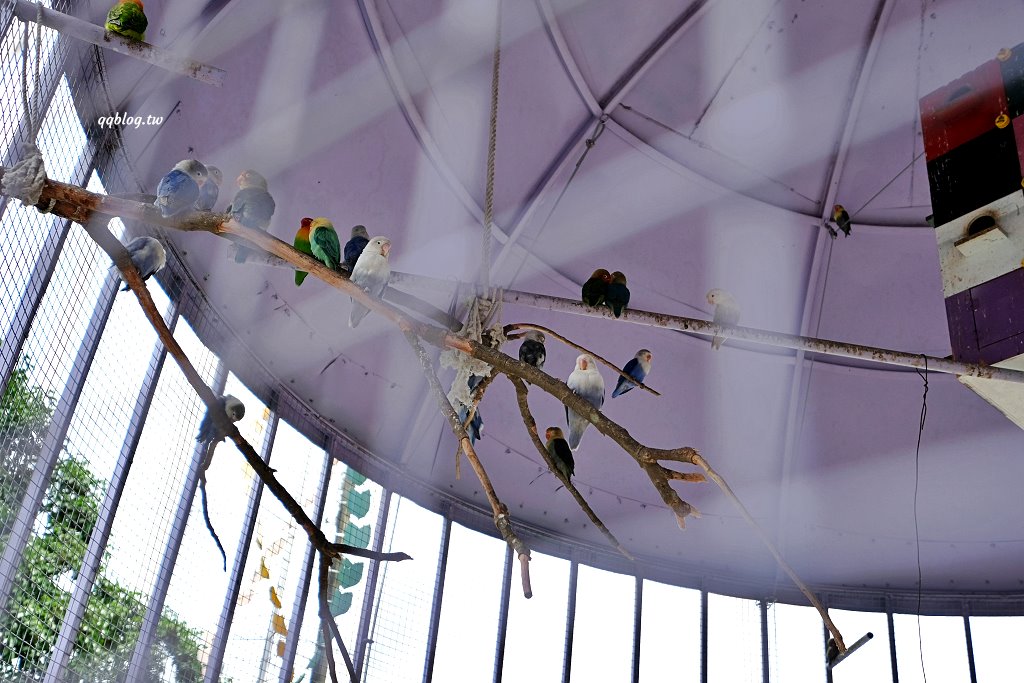 台東關山︱米國學校-關山鎮農會休閒旅遊中心．雨天備案免費參觀的室內景點，採買樂~ @QQ的懶骨頭